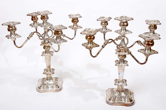 Historic Robins Roost American Queen Anne House, Antiques, Contents The Etta Mae Love Estate - 52_1.jpg