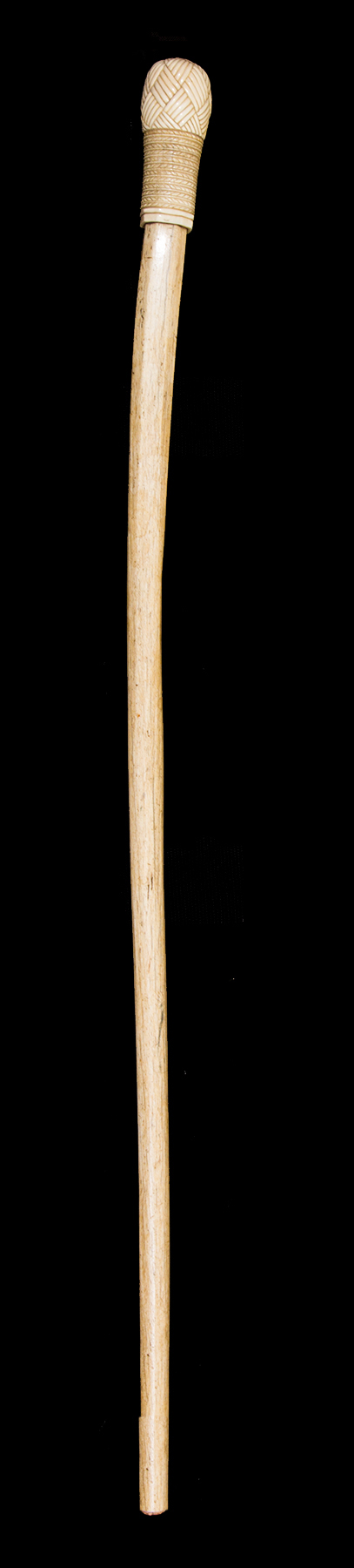 Antique and Quality Modern Cane Auction - 1b.jpg