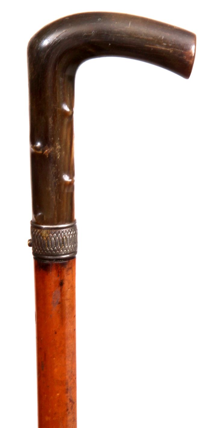 Antique and Quality Modern Cane Auction - 72b.jpg