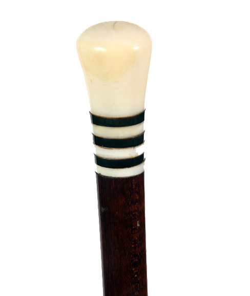 Antique Cane Auction - 1_1.jpg