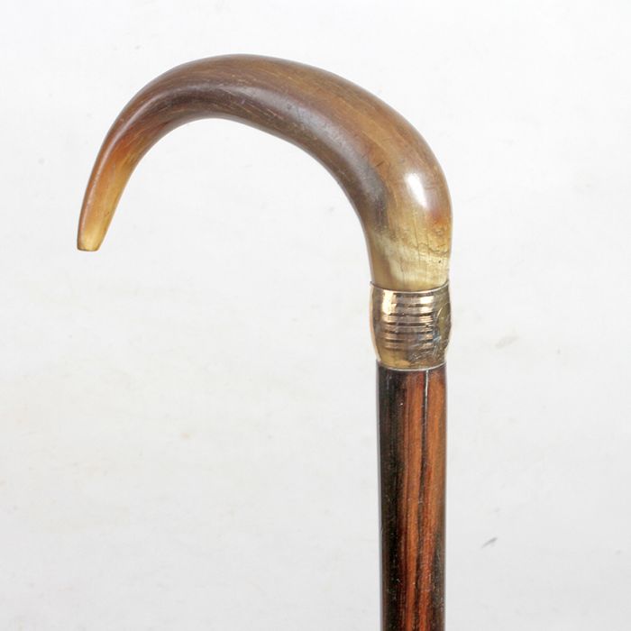 Antique Cane Auction - 23_1.jpg