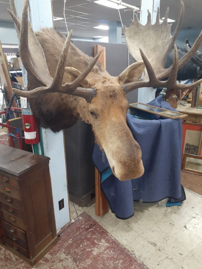 Annual Thanksgiving Auction - Resized_20251121_125427.jpeg