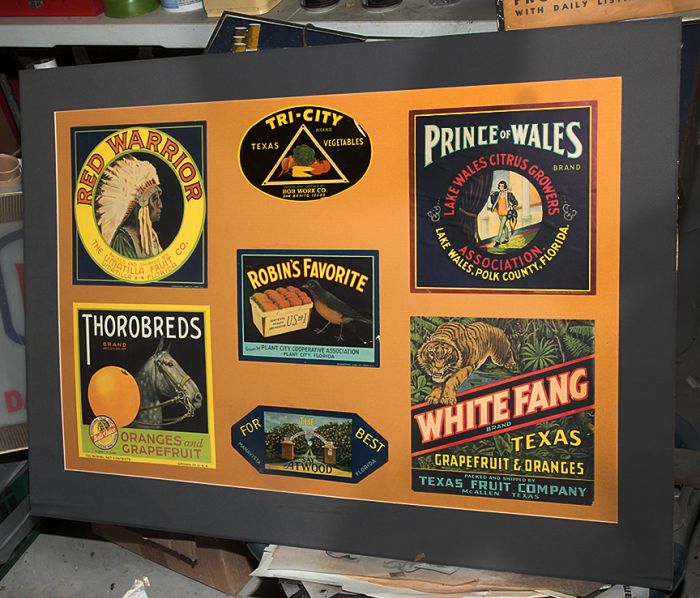  True Barn Find Lifetime Collection Absolute Auction - 7037.jpg