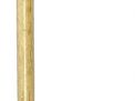 Antique Canes Auction- Fine Erotic Canes, Nautical Canes, Ivory Canes, Dress Canes. Gold Canes, and every Category of Antique Cane - 9177.jpg