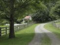 Mary L Weisfeld Living Estate Collection Abingdon Va. - The_Farm_House.jpg