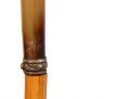 Antique and Quality Modern Cane Auction - 99b.jpg