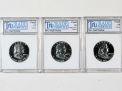 Rare Proof Coins and others, Fine Military-Modern- And Long Guns- A St. Louis Cane Collection - 185_1.jpg